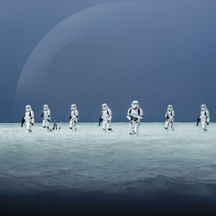 8-444-Star-Wars-Scarif-Be Фотообои Komar Disney x