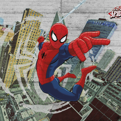 8-467-Spider-Man-Concrete Фотообои Komar Disney x